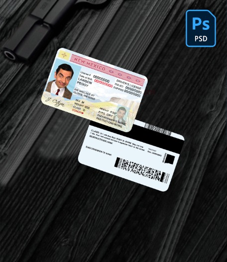 USA State New Mexico driving license PSD